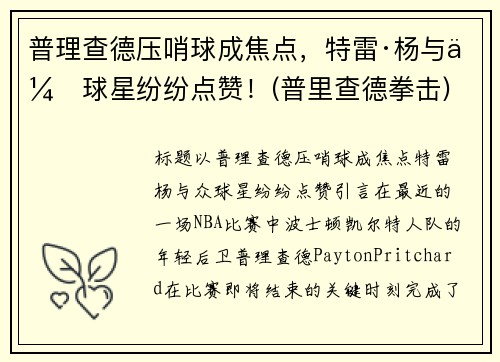 普理查德压哨球成焦点，特雷·杨与众球星纷纷点赞！(普里查德拳击)
