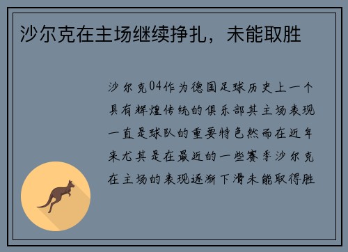 沙尔克在主场继续挣扎，未能取胜