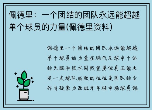 佩德里：一个团结的团队永远能超越单个球员的力量(佩德里资料)